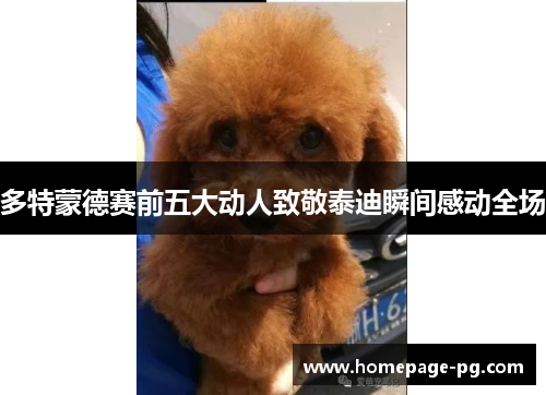 多特蒙德赛前五大动人致敬泰迪瞬间感动全场