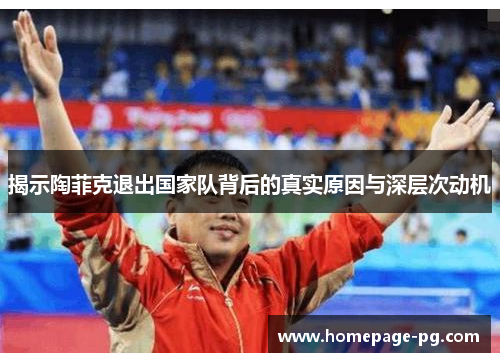 揭示陶菲克退出国家队背后的真实原因与深层次动机